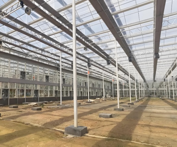 大棚建筑工程